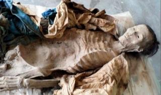 世界上最诡异的兔子