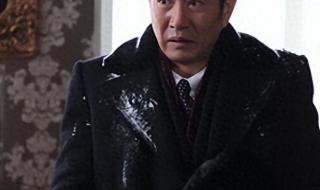 姚刚演过的电视剧 姚刚演过的电视剧