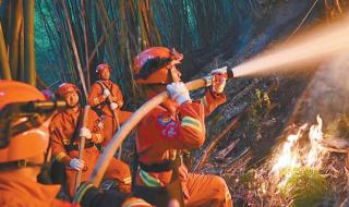 重庆山火最新情况 重庆山火最新情况