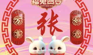 最近很火的兔子头像 最近很火的兔子头像