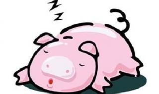 嫌肥挑瘦是什么生肖 嫌肥挑瘦是什么生肖