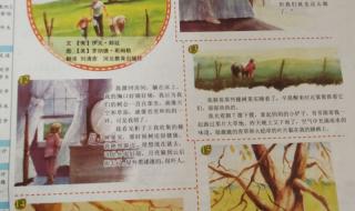 语文学习报 语文学习报