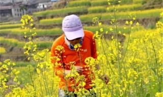 星期三户外 星期三户外