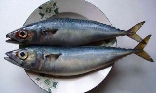 鱼占念什么 鱼占念什么