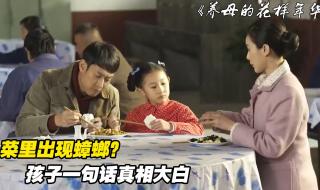 蟑螂电视剧 蟑螂电视剧