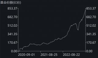 2023年新生儿788万