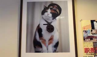 现在人气最高的传奇 现在人气最高的传奇