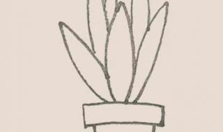 3-6岁儿童简笔画