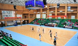 篮球世界锦标赛2022