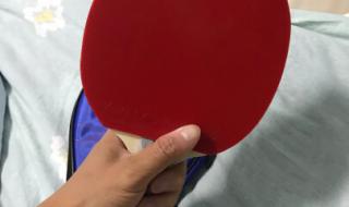 十大乒乓球拍底板排名