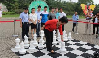 2016奥运会男女混双冠军 2016奥运会男女混双冠军